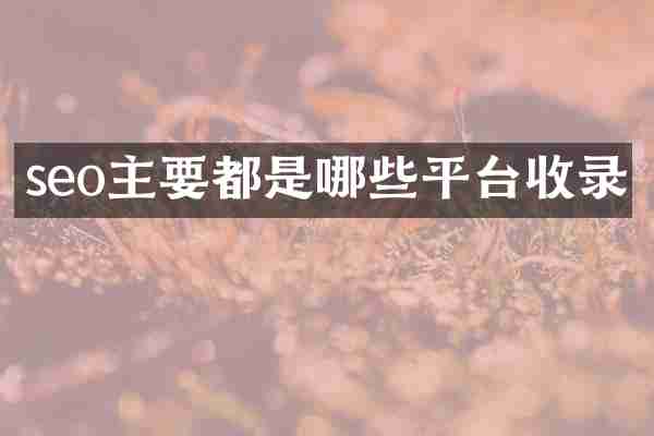 seo主要都是哪些平台收录