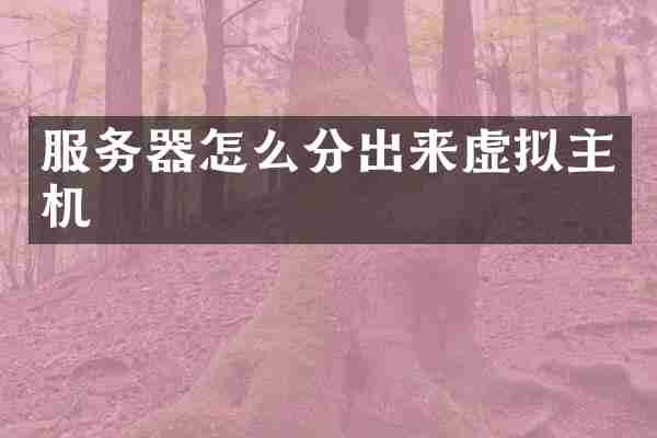 服务器怎么分出来虚拟主机