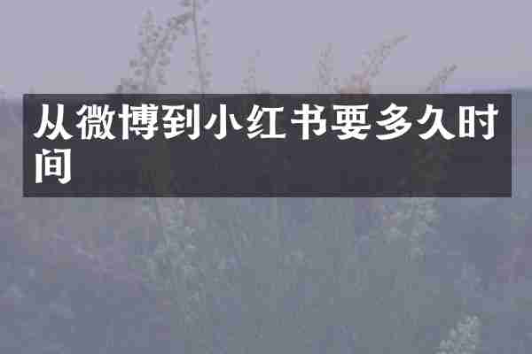 从微博到小红书要多久时间