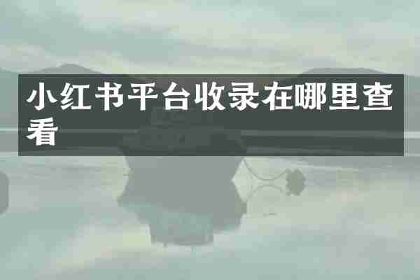 小红书平台收录在哪里查看