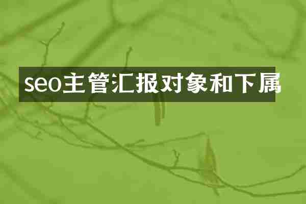 seo主管汇报对象和下属