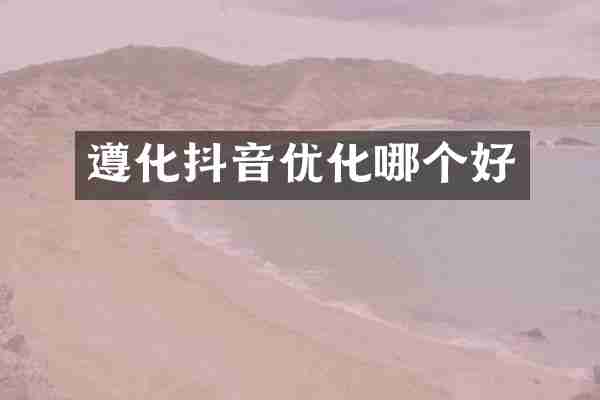 遵化抖音优化哪个好