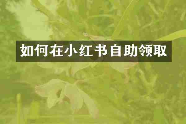 如何在小红书自助领取