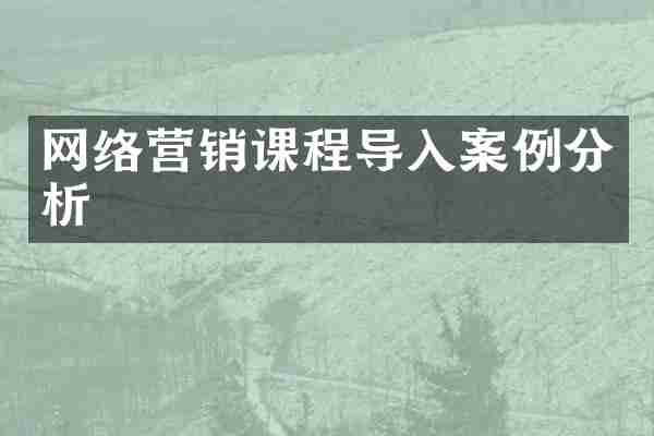 网络营销课程导入案例分析
