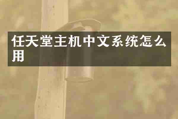 任天堂主机中文系统怎么用