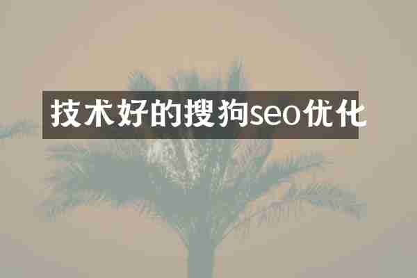 技术好的搜狗seo优化
