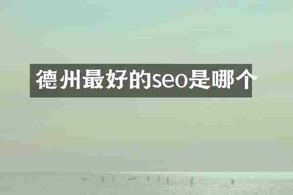 德州最好的seo是哪个
