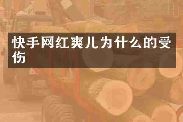 快手网红爽儿为什么的受伤