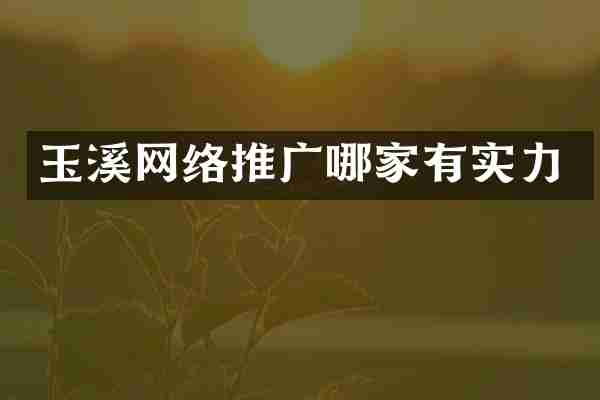 玉溪网络推广哪家有实力
