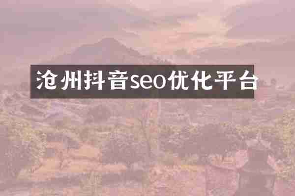 沧州抖音seo优化平台