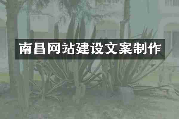 南昌网站建设文案制作