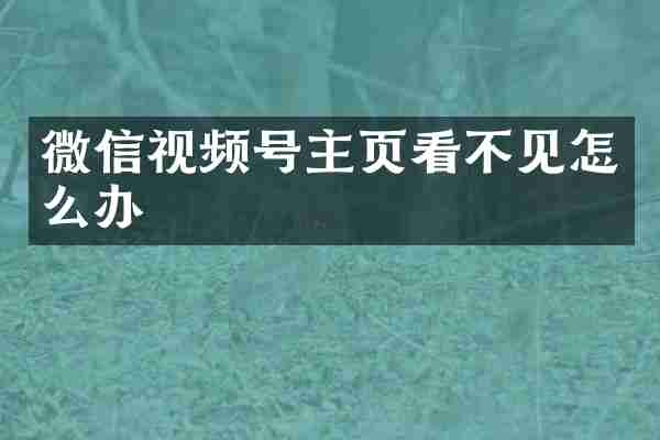 微信视频号主页看不见怎么办