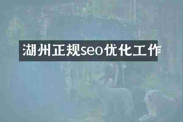 湖州正规seo优化工作