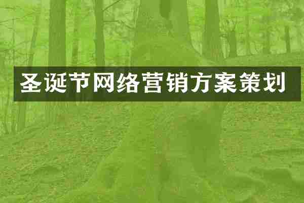 圣诞节网络营销方案策划
