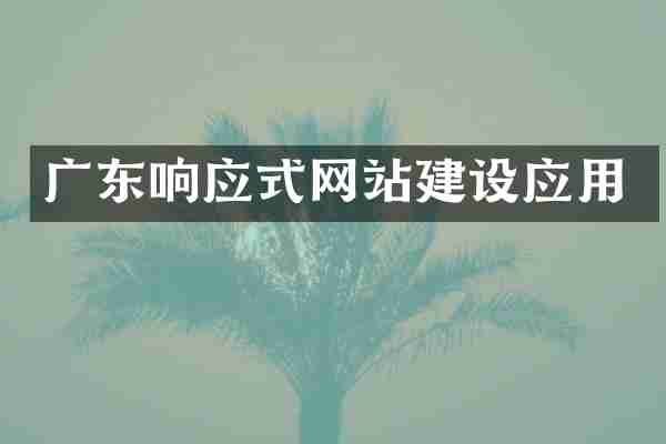 广东响应式网站建设应用