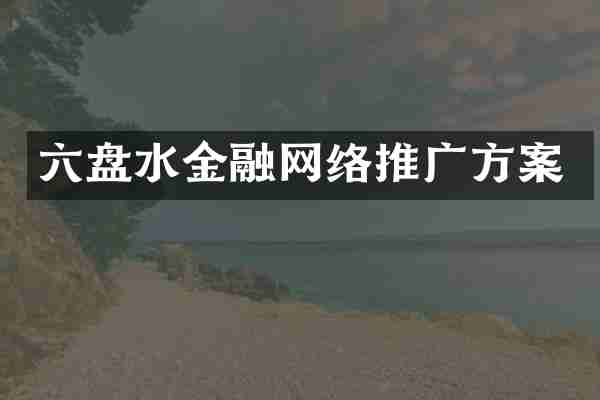 六盘水金融网络推广方案