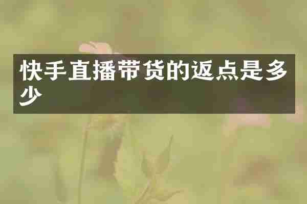 快手直播带货的返点是多少