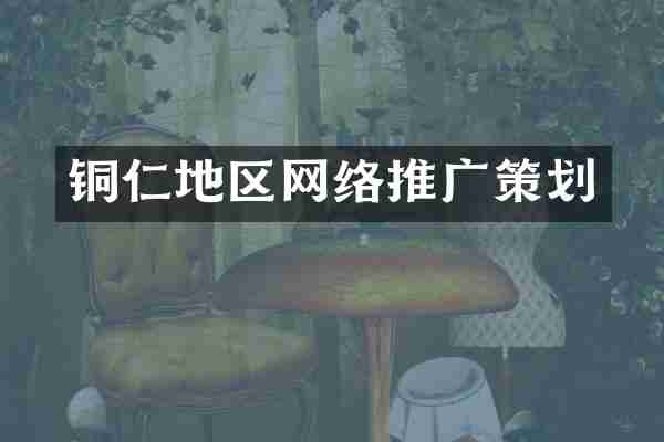 铜仁地区网络推广策划