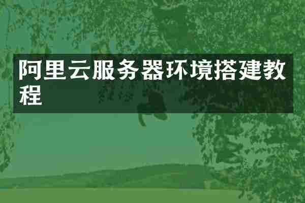 阿里云服务器环境搭建教程