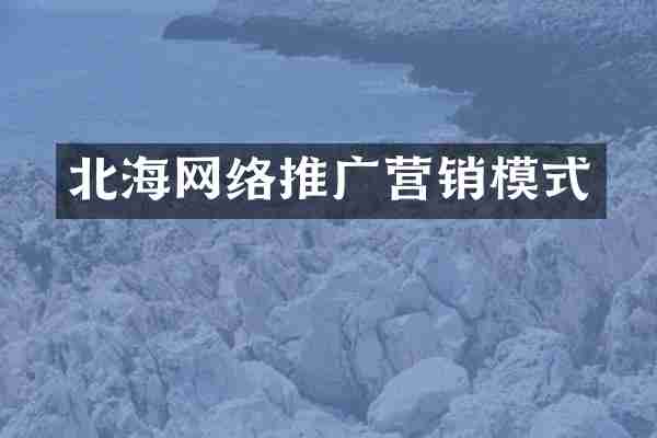 北海网络推广营销模式