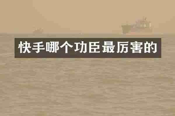 快手哪个功臣最厉害的