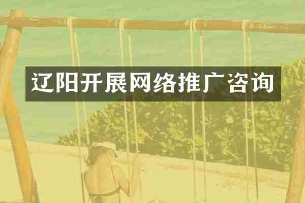 辽阳开展网络推广咨询