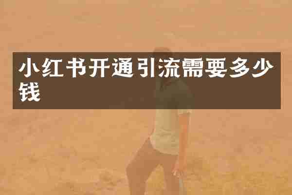 小红书开通引流需要多少钱