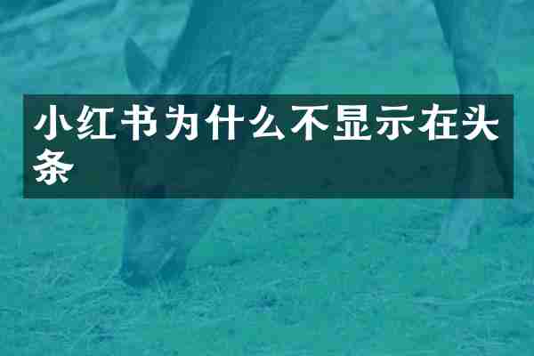 小红书为什么不显示在头条