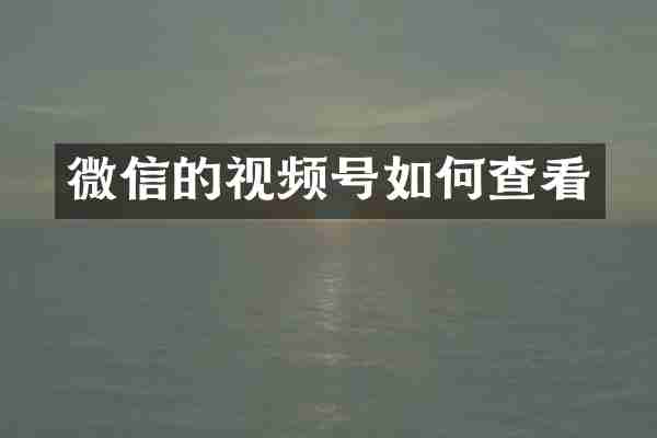 微信的视频号如何查看
