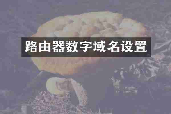 路由器数字域名设置