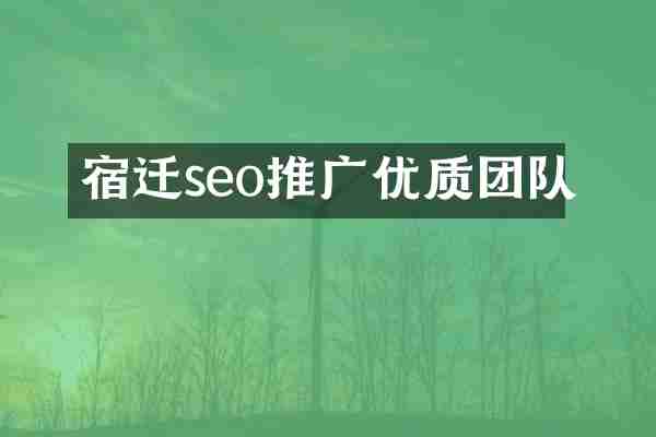 宿迁seo推广优质团队