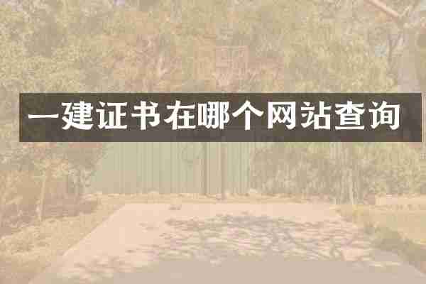 一建证书在哪个网站查询