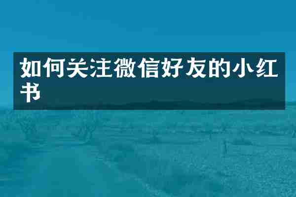 如何关注微信好友的小红书