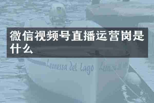微信视频号直播运营岗是什么