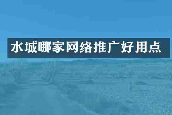 水城哪家网络推广好用点