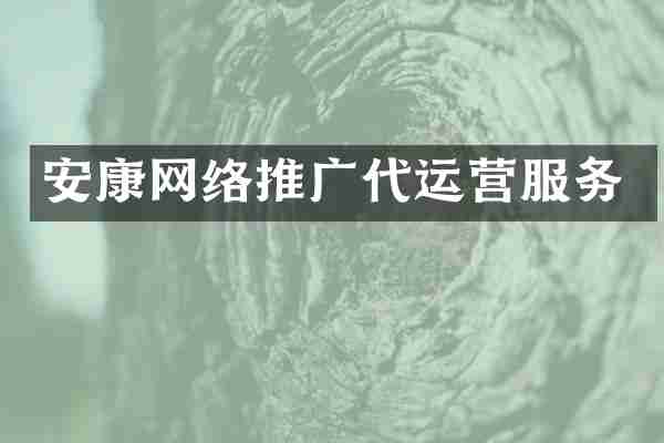 安康网络推广代运营服务