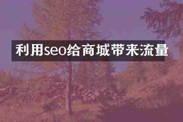 利用seo给商城带来流量