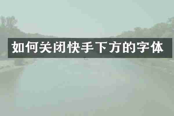 如何关闭快手下方的字体