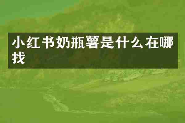 小红书奶瓶薯是什么在哪找