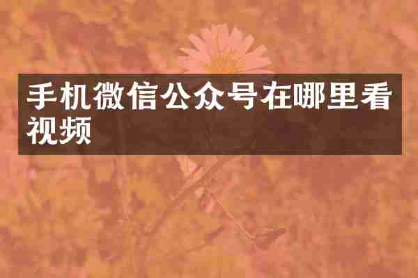 手机微信公众号在哪里看视频