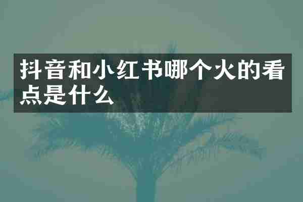 抖音和小红书哪个火的看点是什么