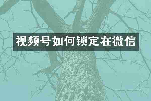 视频号如何锁定在微信