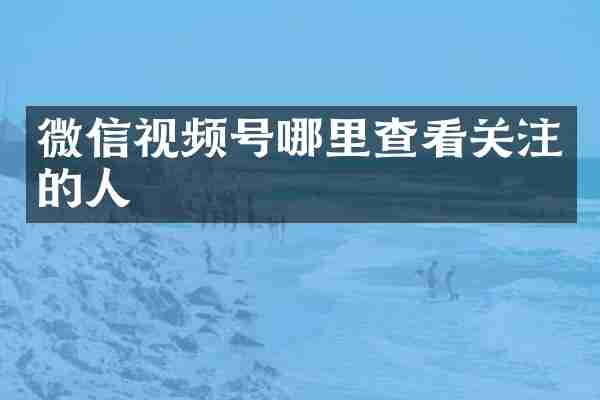 微信视频号哪里查看关注的人