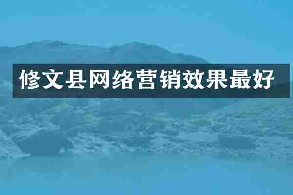 修文县网络营销效果最好