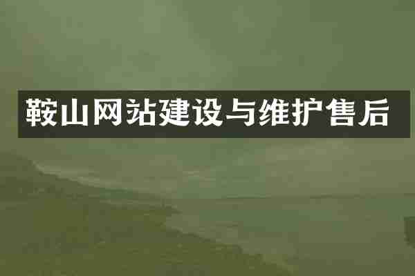 鞍山网站建设与维护售后