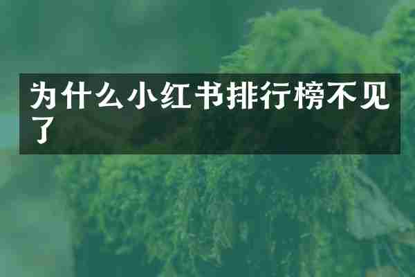 为什么小红书排行榜不见了