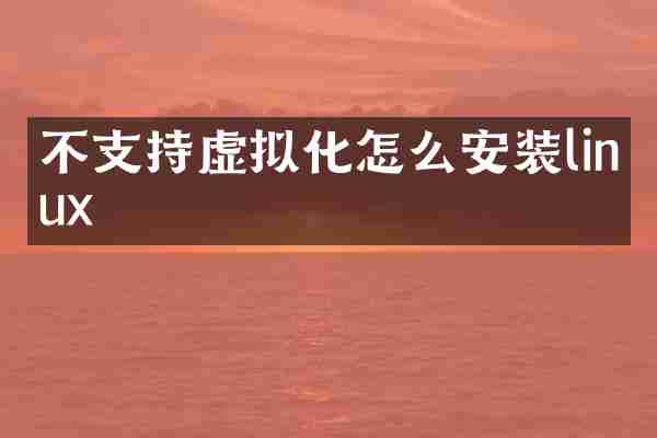 不支持虚拟化怎么安装linux