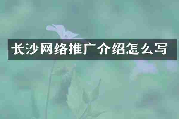 长沙网络推广介绍怎么写