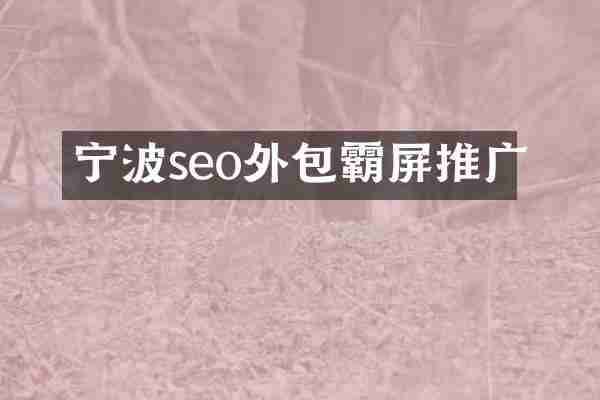 宁波seo外包霸屏推广