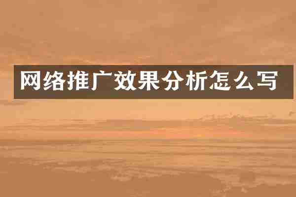 网络推广效果分析怎么写